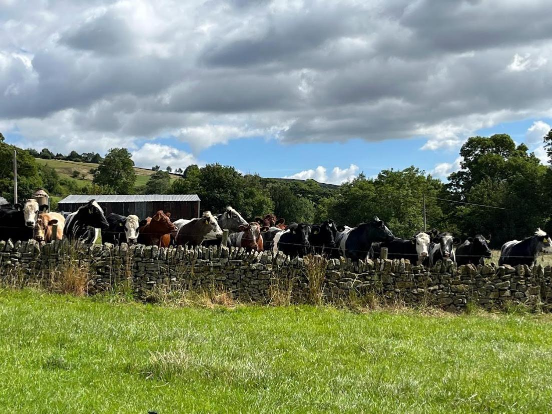 Riding House Farm Cottages Castleton  Extérieur photo
